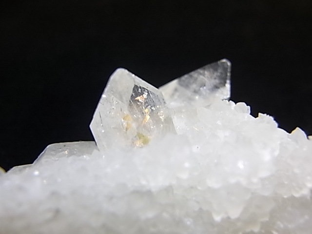 GA00078K�����ݥե��饤�ȡ��ݥ����