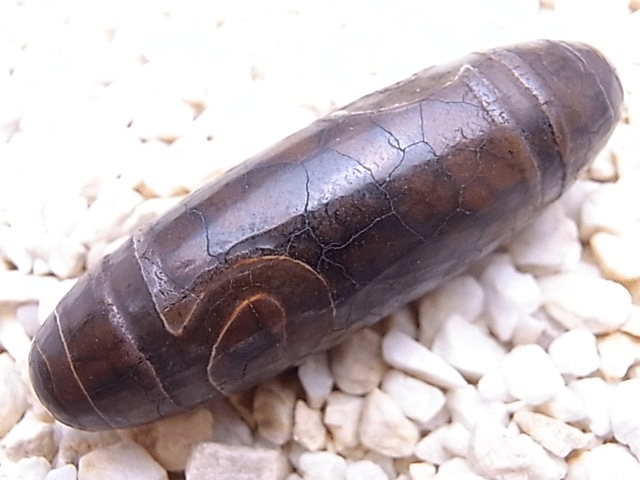 NC00010N��ǡ��ŷ��