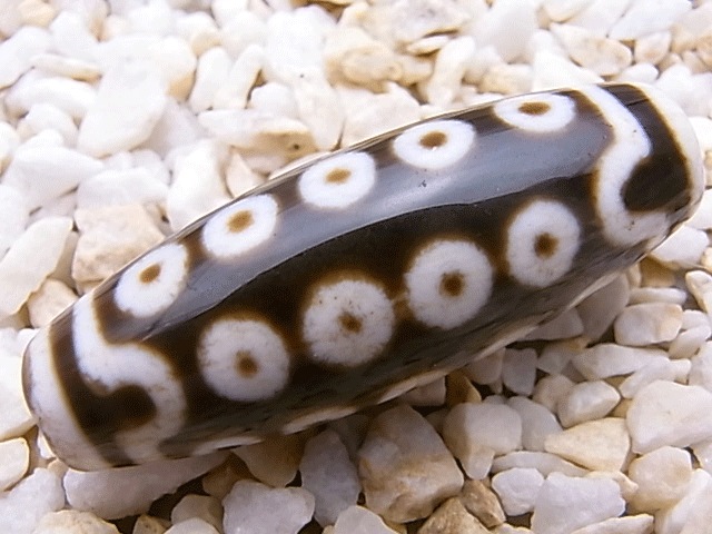 NC00032N���󽽼���ŷ��