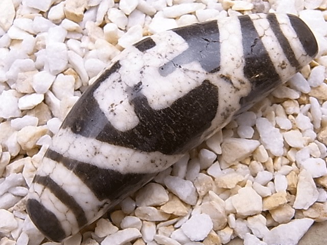 NC00041N�����ŷ��