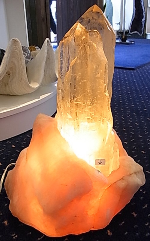 CMM0051F ���ȥ�󥫥ƥɥ�� ���ꥹ�������