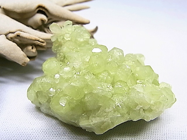 CMM0055�ڵ������С� �٥��ӥ��ʥ���