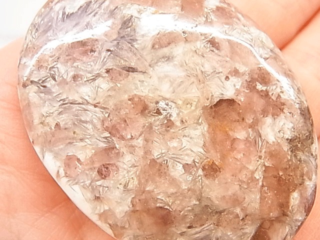 CLM0010F�ڵ����롼���� ��ԥɥ饤�ȡ��ȥ�ޥ�� �롼��