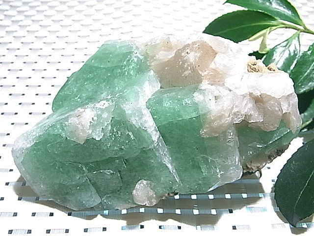 CMM0107N ���꡼�󥢥ݥե��饤��