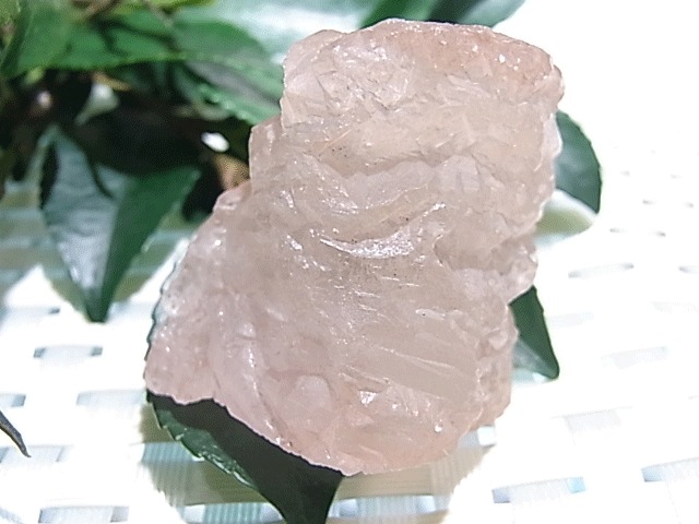 CMM0112N �ҥޥ��徽�����������ꥹ����