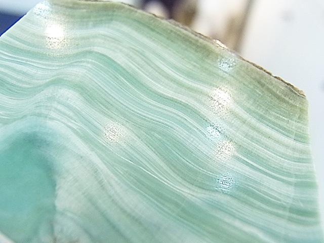 CMM0156F �֥롼���饴�ʥ���