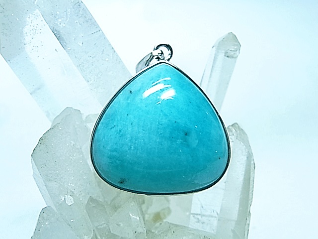 PM0181 ֥롼ޥʥ ڥȥإå