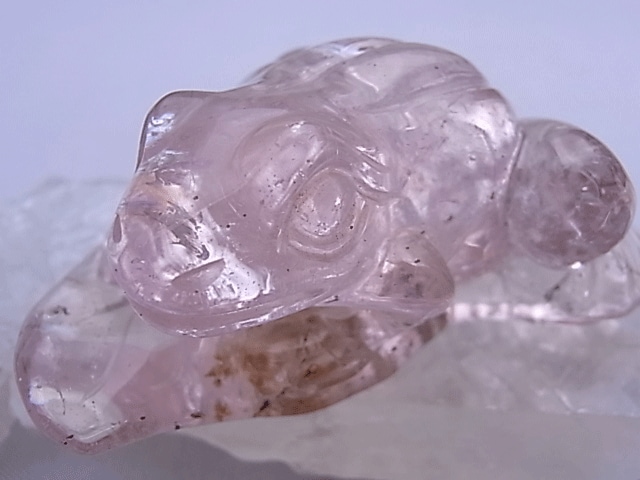 CB00110N����륬�ʥ��ȡ�������