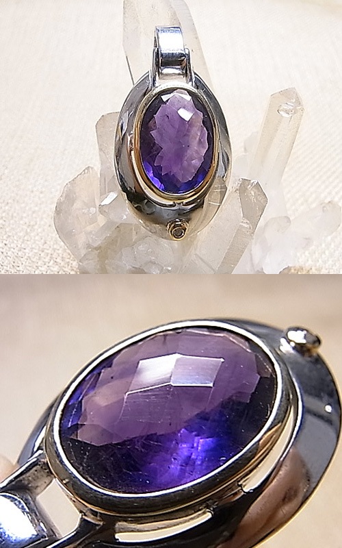 P00509 ᥸ȡߥɡǥڥȥإåGEO