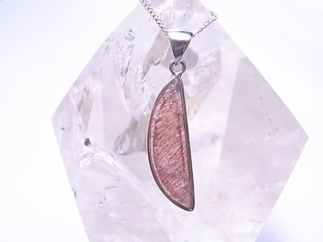 PF0081  �����ѡ����֥�