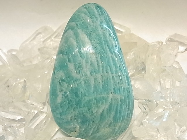 PRK00015F ���ޥ��ʥ��ȡ� �ݥ�å��塡(�ޥ��������뻺)