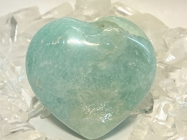 PRK00016F ޥʥȡ ϡȷݥå塡(ޥ뻺)