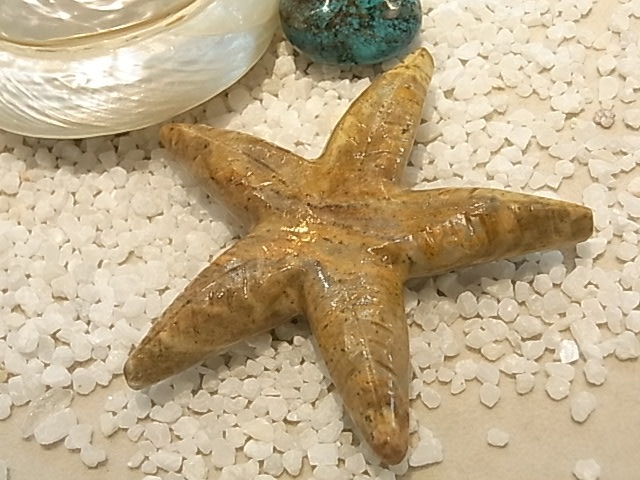 CY0024F �����ץ��ȡ���[�ҥȥ�]