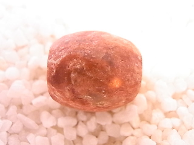 BU0082F ���塼�饤�ȡ��ڥ����ȥإåɡ��ꤢ��