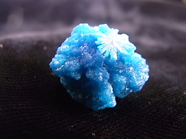 BU0128F ���Х󥵥��ȸ��С�����ɻ�