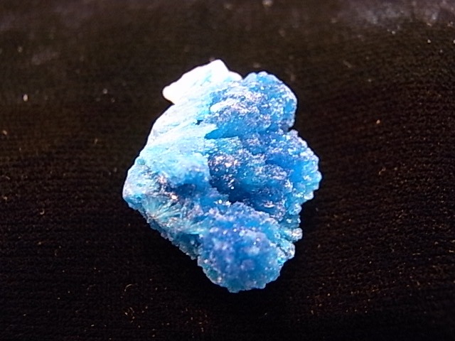 BU0126F ���Х󥵥��ȸ��С�����ɻ�