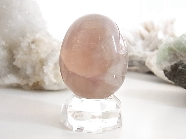 BU00134F �ե����饤�� ���å�