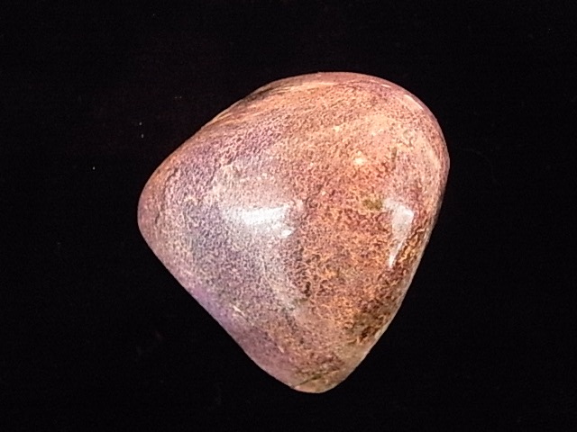 BU00143F ���ƥ��ҥ����ȸ��С���եꥫ��