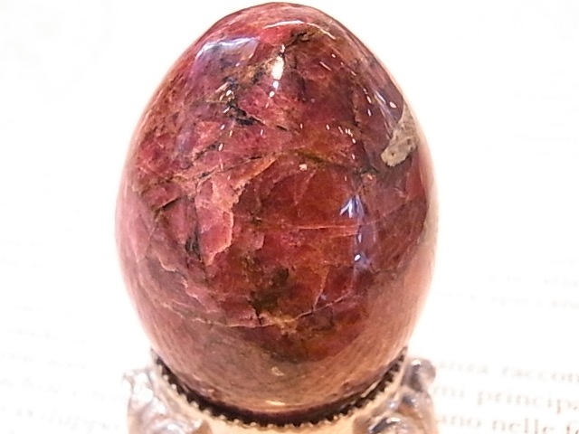 EK00029F ������Т�桼�ǥ����饤�ȡ����å���(��������)