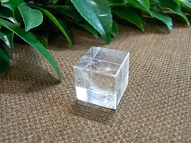 UE00095K �ץ�ȥ�Ω�Ρ�5�ĥ��å�