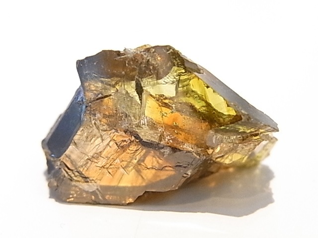 K00269F ե饤ȡСڴС(֥륬ꥢ)