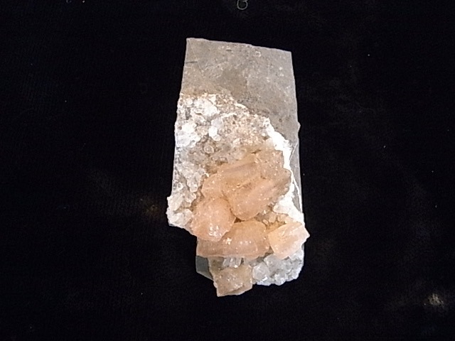 BU00224 �ݥ�����С��륿���ȡ�����