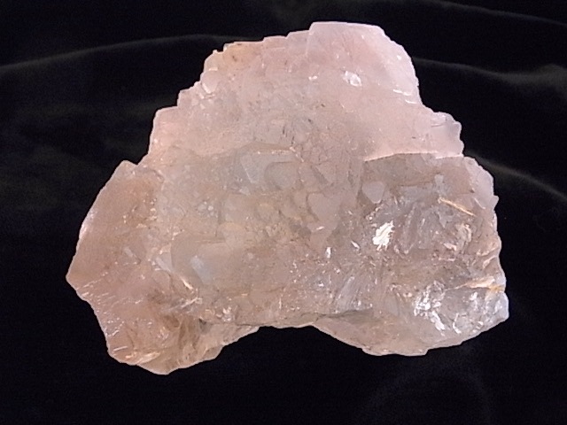 BU00282F �Х����顼�ե����饤�ȡ��ѥ�������