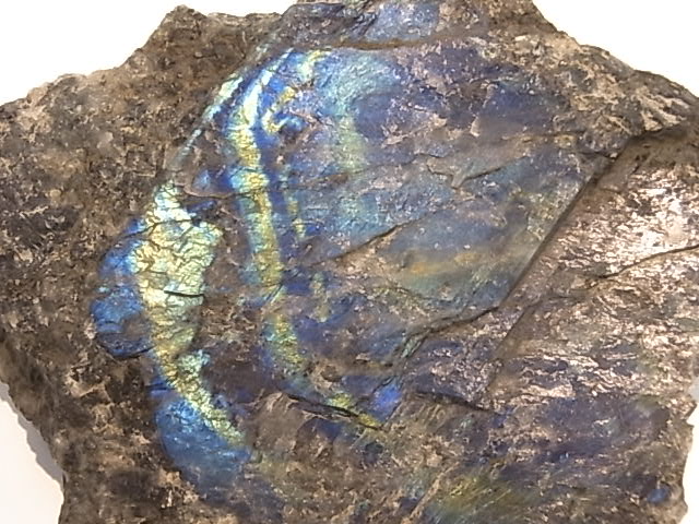 GA0007F���ե�����ɻ� ���ڥ��ȥ��饤�� ����