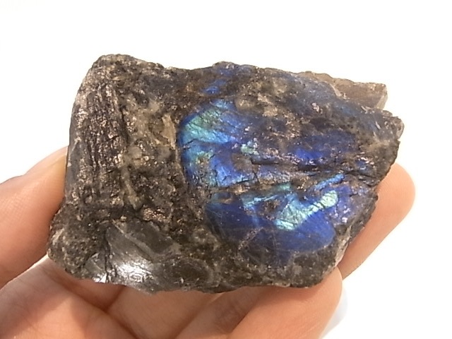 GA0008F �ե�����ɻ� ���ڥ��ȥ��饤�� ����