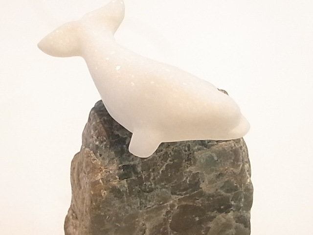 CA00035F�����륫�������С��ͥե饤�ȡ�