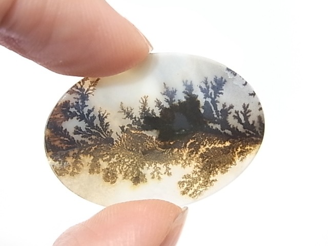 CA00064K���ǥ�ɥ���å��������ȡ��롼��