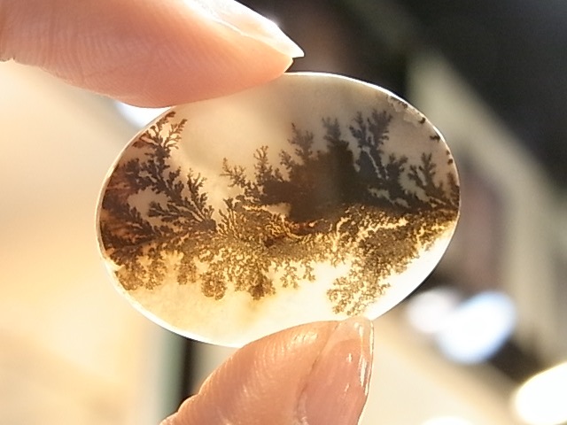 CA00064K���ǥ�ɥ���å��������ȡ��롼��