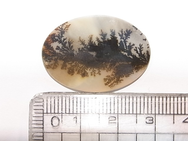 CA00064K���ǥ�ɥ���å��������ȡ��롼��