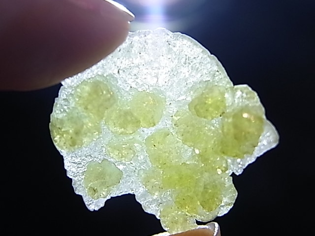 GA00043K���֥롼�����ȡ����С��ѥ�������