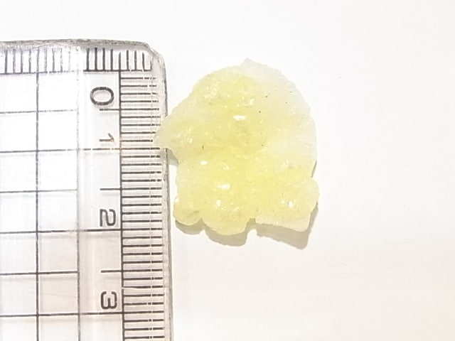 GA00043K���֥롼�����ȡ����С��ѥ�������