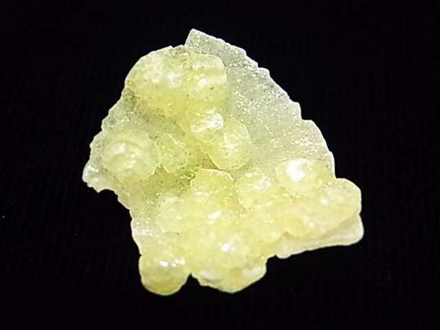 GA00043K���֥롼�����ȡ����С��ѥ�������