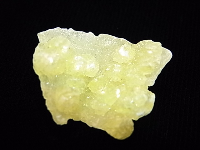 GA00043K���֥롼�����ȡ����С��ѥ�������