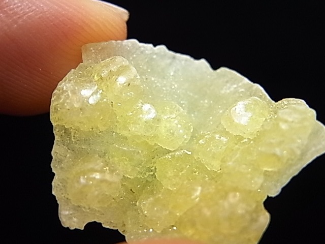 GA00043K���֥롼�����ȡ����С��ѥ�������