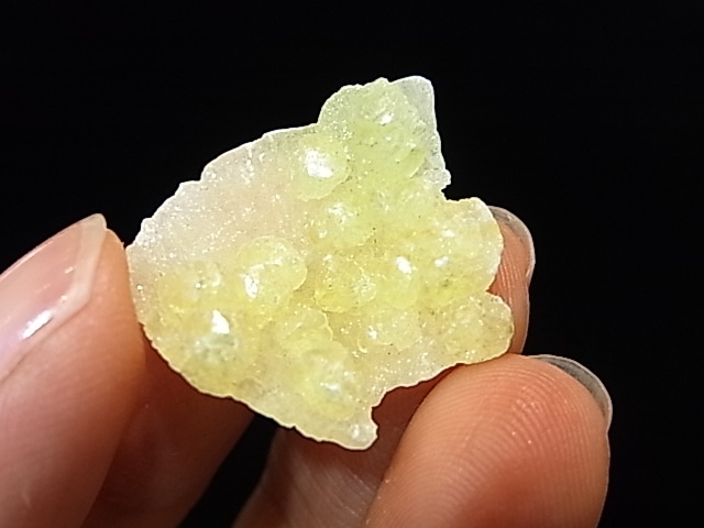 GA00043K���֥롼�����ȡ����С��ѥ�������