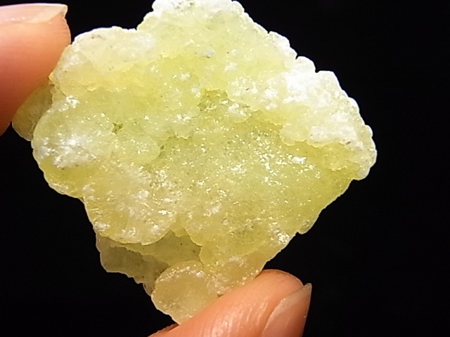 GA00044K���֥롼�����ȡ����С��ѥ�������