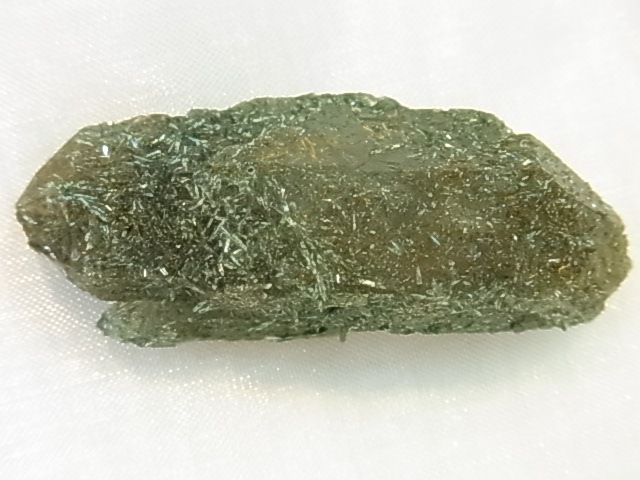 GAJ0011F ����륹�⡼�����������ĸ��С�������󡡥ե���ɥ��ѡ����ꡡ���֥�ݥ���ȡ���եꥫ���ڴ����С�