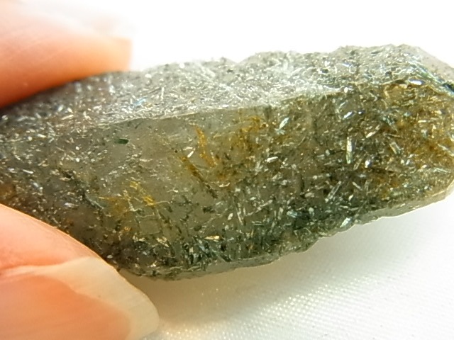 GAJ0011F ����륹�⡼�����������ĸ��С�������󡡥ե���ɥ��ѡ����ꡡ���֥�ݥ���ȡ���եꥫ���ڴ����С�