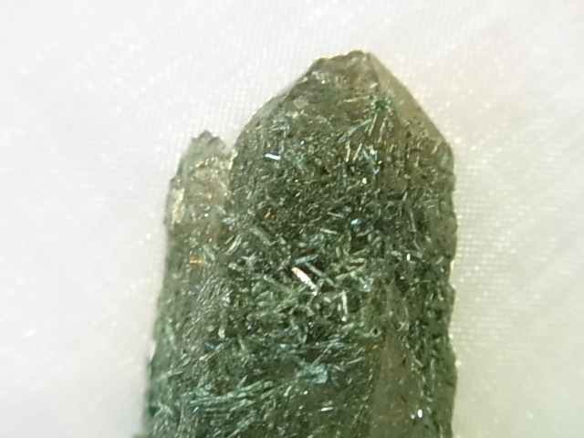 GAJ0011F ����륹�⡼�����������ĸ��С�������󡡥ե���ɥ��ѡ����ꡡ���֥�ݥ���ȡ���եꥫ���ڴ����С�