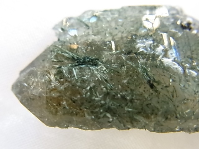 GAJ0011F ����륹�⡼�����������ĸ��С�������󡡥ե���ɥ��ѡ����ꡡ���֥�ݥ���ȡ���եꥫ���ڴ����С�