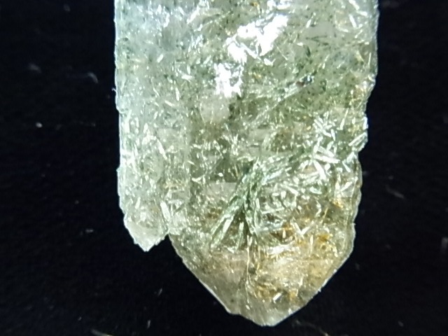 GAJ0011F ����륹�⡼�����������ĸ��С�������󡡥ե���ɥ��ѡ����ꡡ���֥�ݥ���ȡ���եꥫ���ڴ����С�