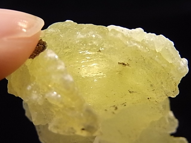 GA00045K���֥롼�����ȡ����С��ѥ�������