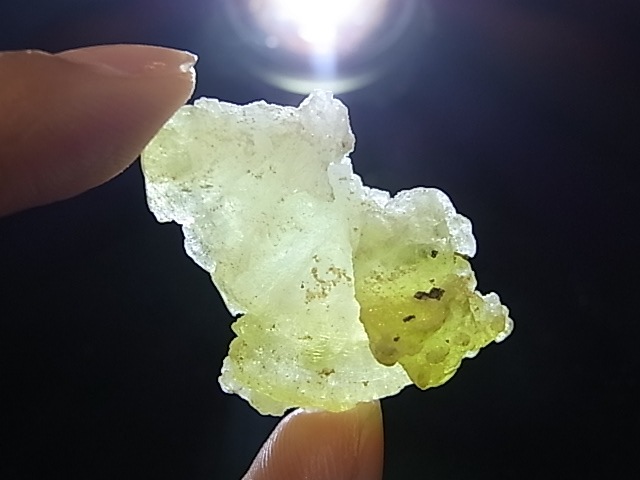 GA00045K���֥롼�����ȡ����С��ѥ�������