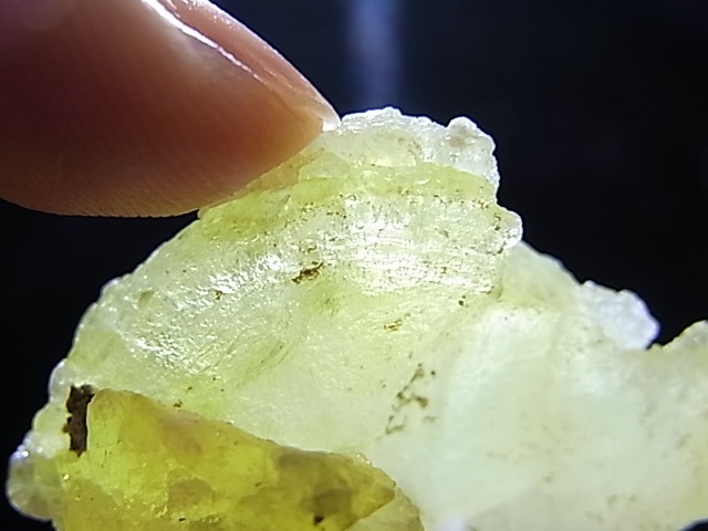 GA00045K���֥롼�����ȡ����С��ѥ�������