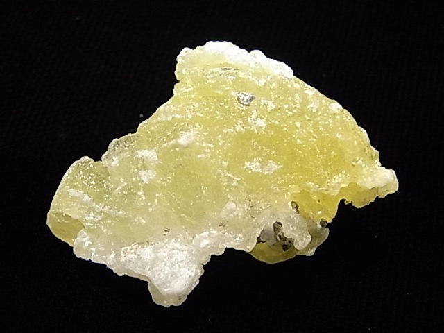 GA00045K���֥롼�����ȡ����С��ѥ�������