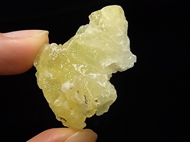 GA00045K���֥롼�����ȡ����С��ѥ�������